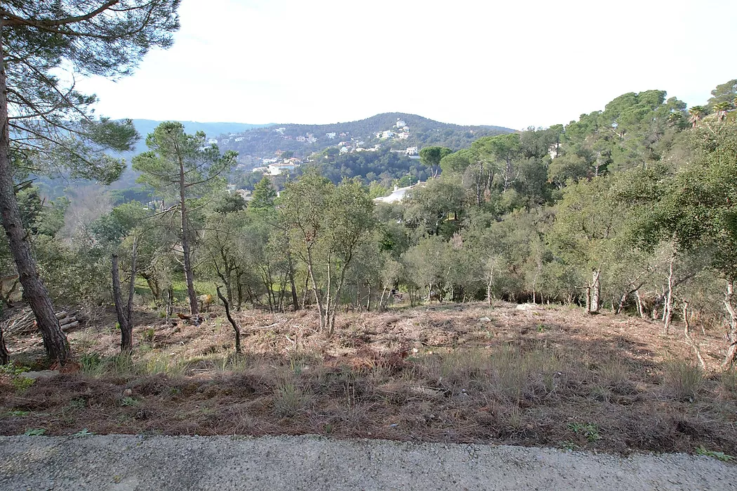 Terrain avec vue fantastique sur la montagne