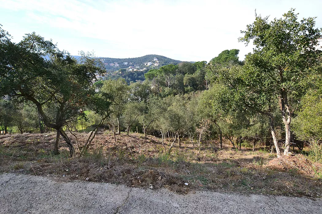 Terrain avec vue fantastique sur la montagne