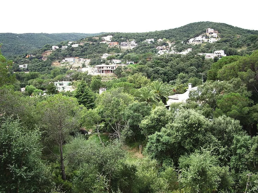 Terrain avec vue fantastique sur la montagne