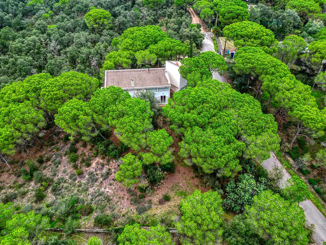 Architectural chalet fully integrated into nature, Church area.- Santa Cristina d'Aro